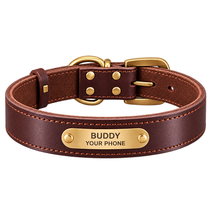 Personalized Leather Dog Collar & Leash Set