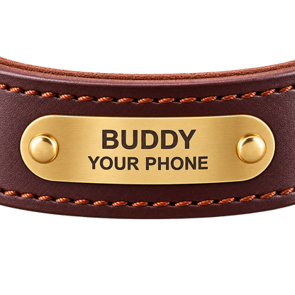 Personalized Leather Dog Collar & Leash Set