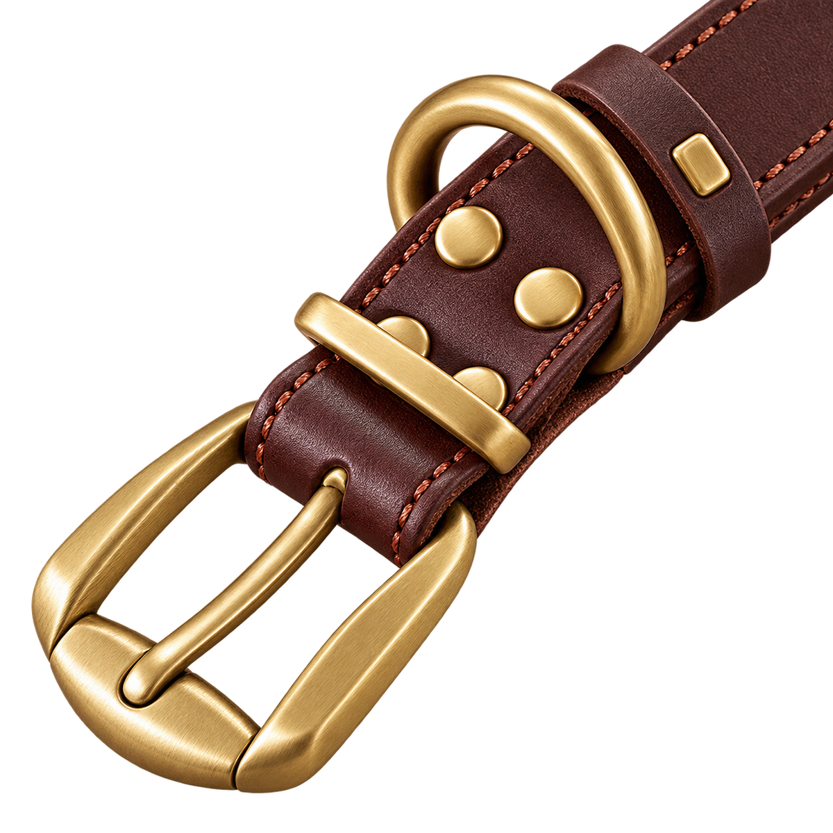 Personalized Leather Dog Collar & Leash Set