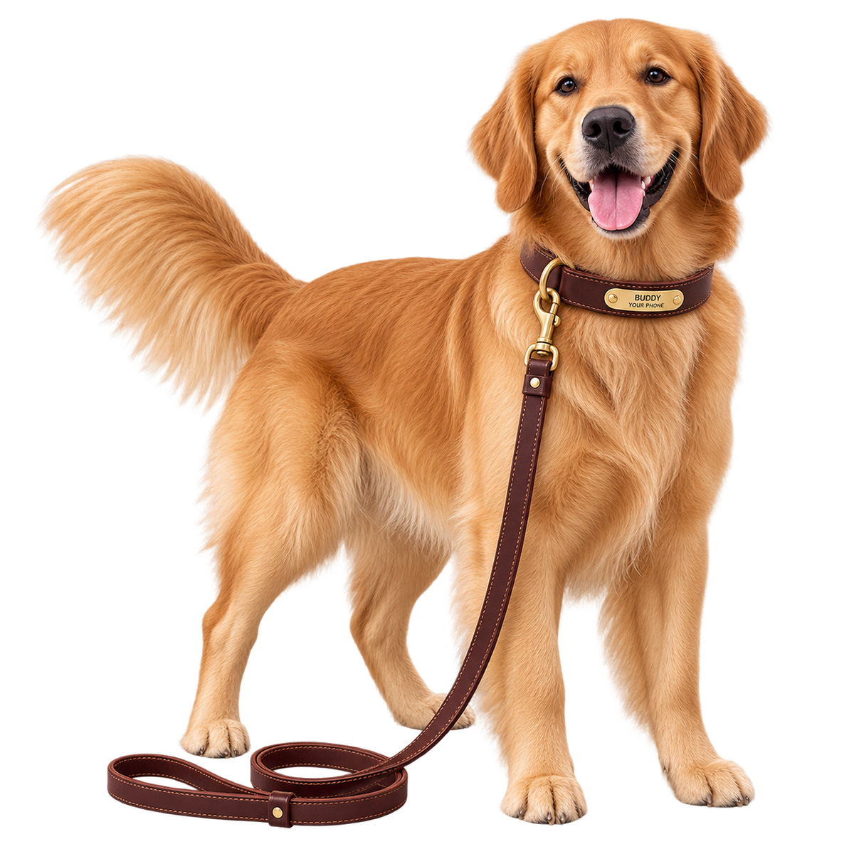Personalized Leather Dog Collar & Leash Set