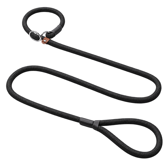 Adjustable Slip Lead Dog Leash