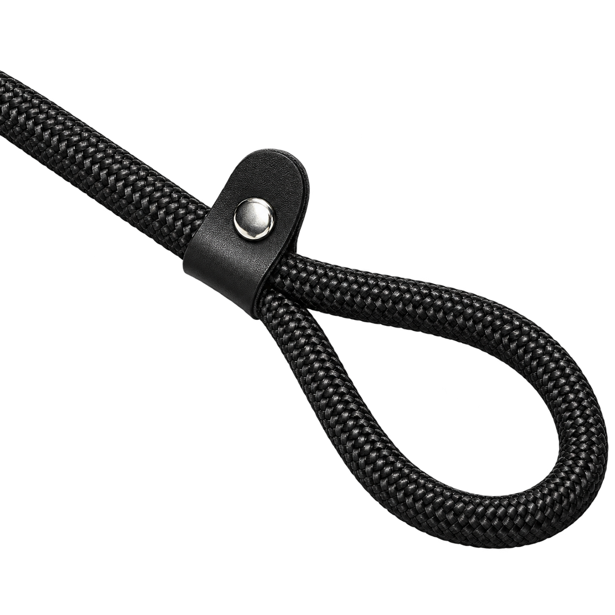 Adjustable Slip Lead Dog Leash