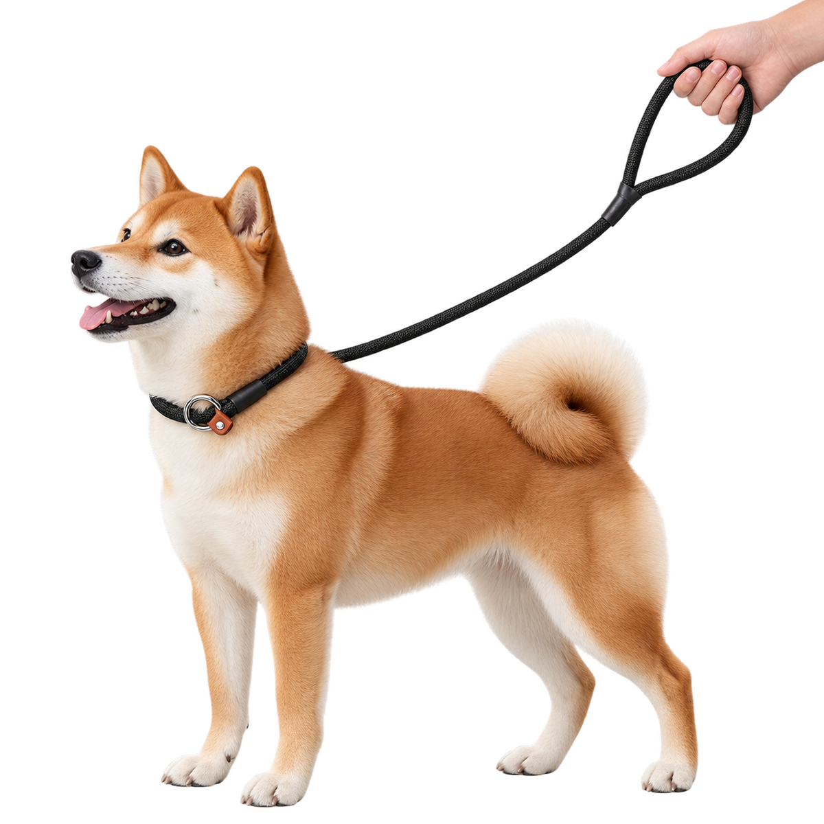 Adjustable Slip Lead Dog Leash