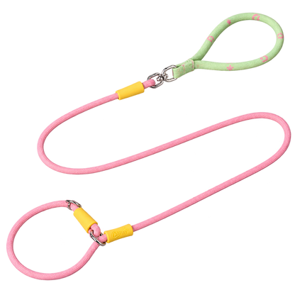 Color-Block Slip Lead Dog Leash