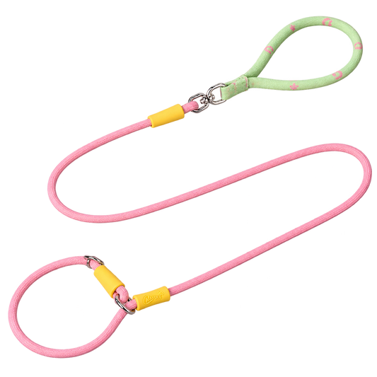 Color-Block Slip Lead Dog Leash