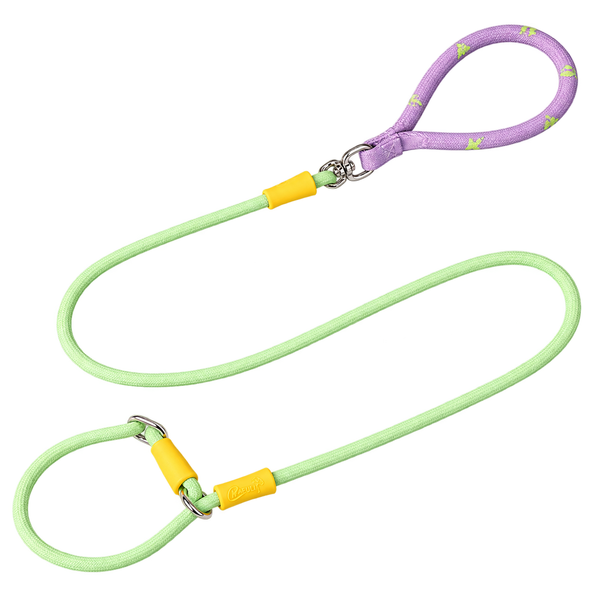 Color-Block Slip Lead Dog Leash