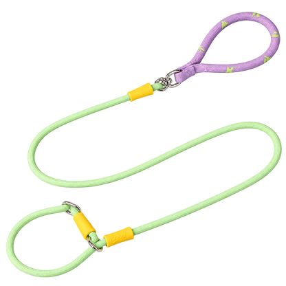 Color-Block Slip Lead Dog Leash
