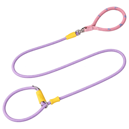 Color-Block Slip Lead Dog Leash