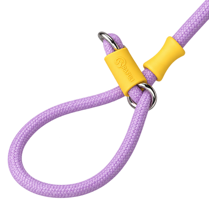 Color-Block Slip Lead Dog Leash