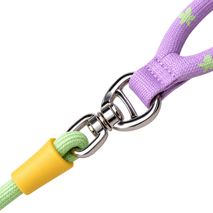 Color-Block Slip Lead Dog Leash