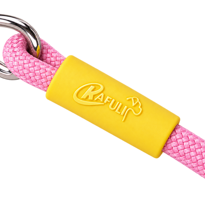 Color-Block Slip Lead Dog Leash