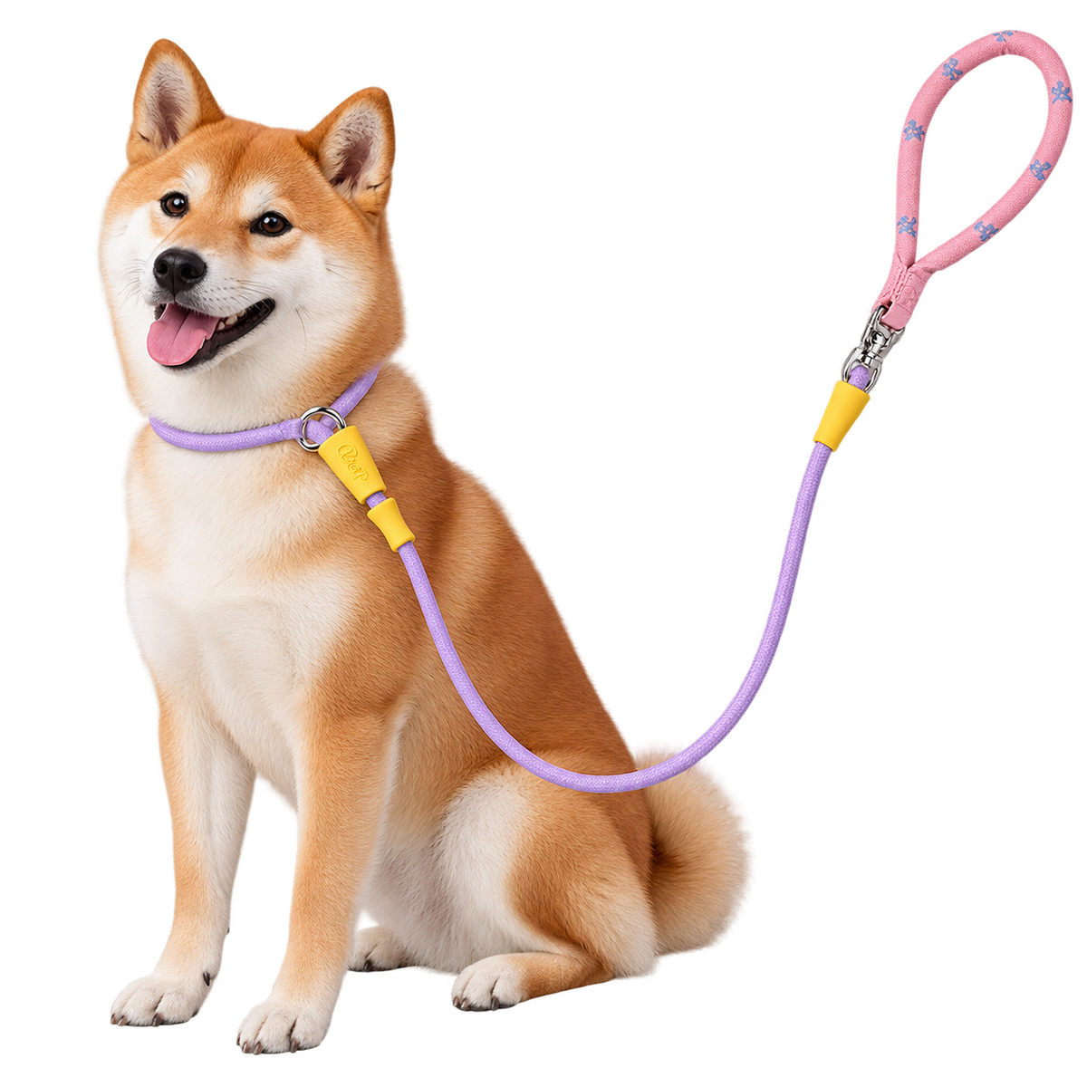 Color-Block Slip Lead Dog Leash