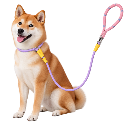 Color-Block Slip Lead Dog Leash