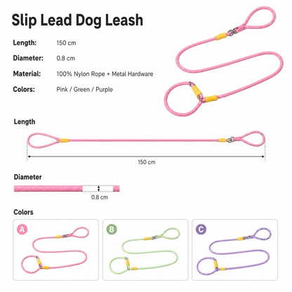 Color-Block Slip Lead Dog Leash