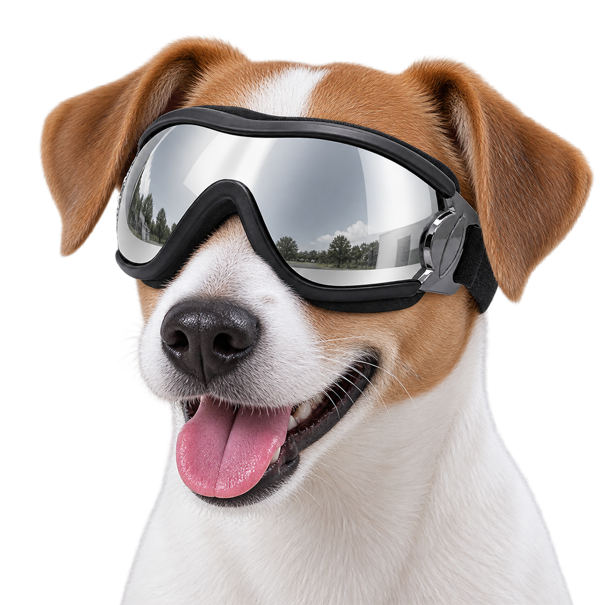 Adjustable Dog Goggles