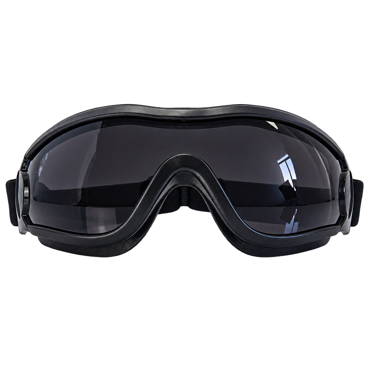 Adjustable Dog Goggles