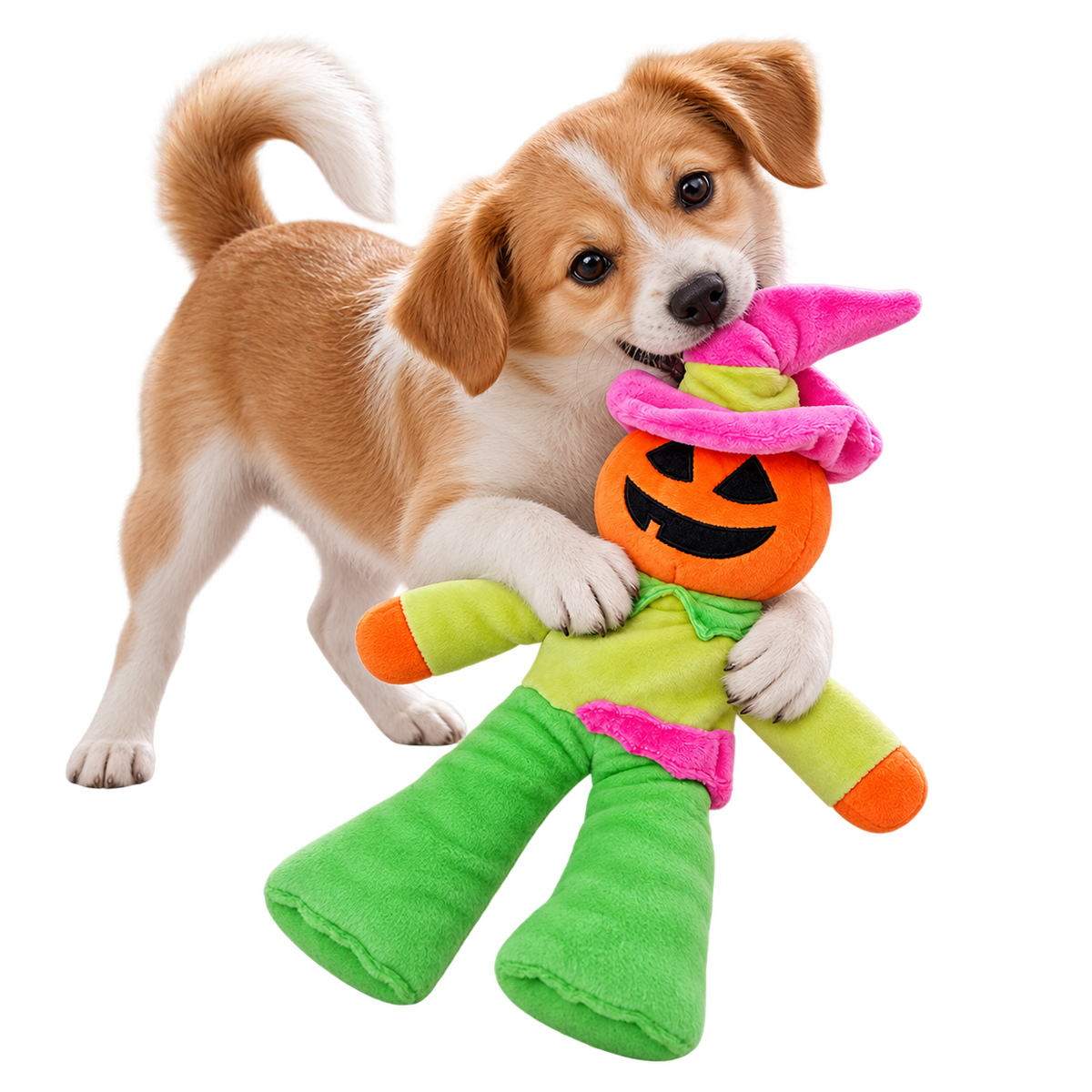 Pumpkin Character Plush Dog Toy