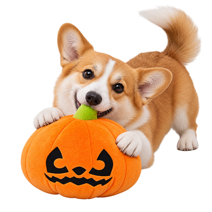Pumpkin Plush Dog Toy