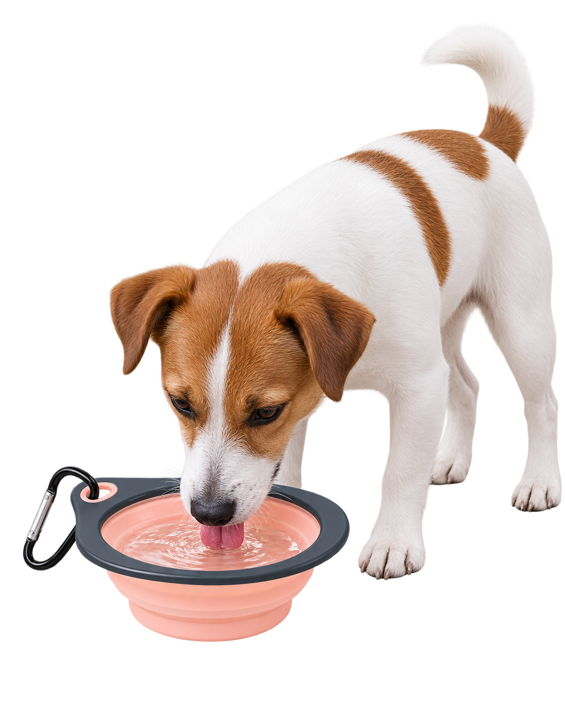 Diamond-Shaped Collapsible Travel Bowl