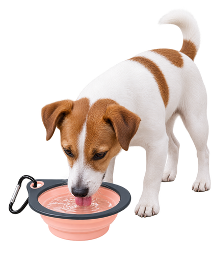 Diamond-Shaped Collapsible Travel Bowl